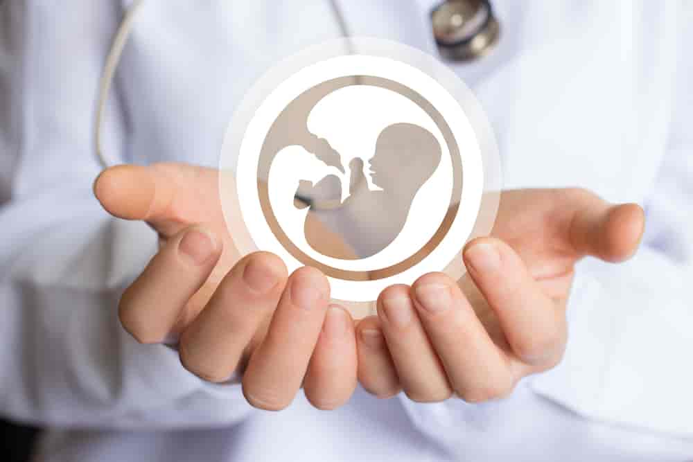 tubal reversal vs ivf: what is the process?